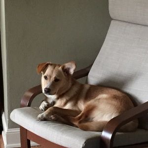 Meet your Posher, Michelle